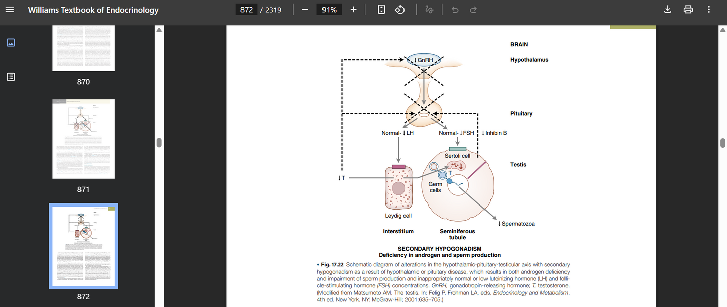 Williams Textbook of Endocrinology 15th Edition PDF searchable