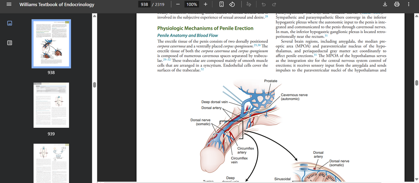 Williams Textbook of Endocrinology 15th Edition PDF searchable
